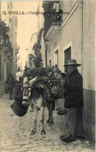 Sevilla - Vendedor de hortalizas