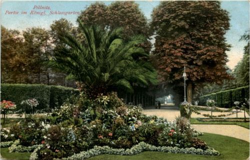 Dresden, Pillnitz, Partie im Kgl. Schlossgarten