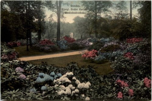 Dresden, Kgl. Grosser Garten, Rhododendronhain