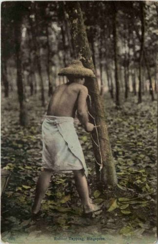 Singapore - Rubber Tapping
