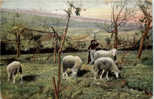 South Australia