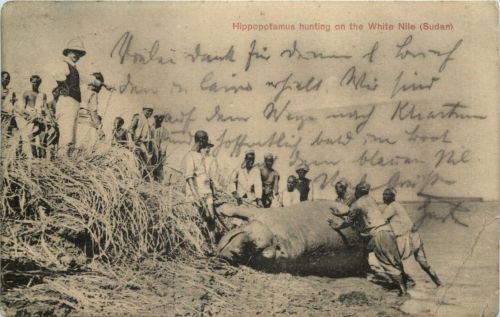 Hippopotamus hunting on the White Nile Sudan