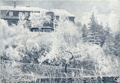 Schloss Stauf im Rauhreif - Post Eysölden