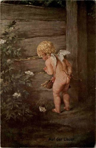 Amor - Auf der LAuer