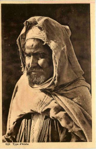 Type d Arabe