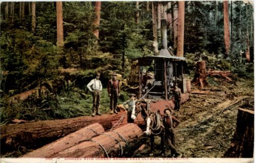 Logging with Donkey Engine near Olympia Washington