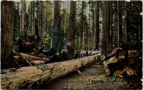 Hauling Timber