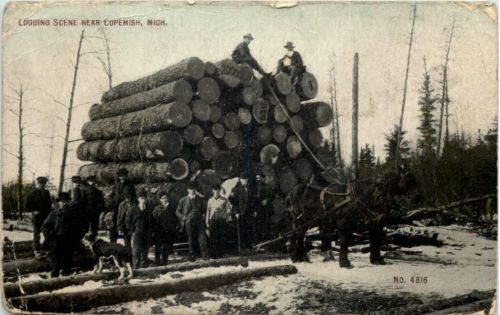 Logging Scene near Copemish Michigan