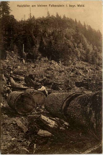 Holzfäller am kleinen Falkenstein