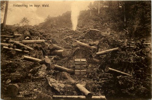 Halzschlag im Bayerischen Wald - Zwiesel
