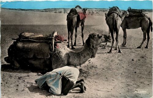 La priere dans le desert - Maroc