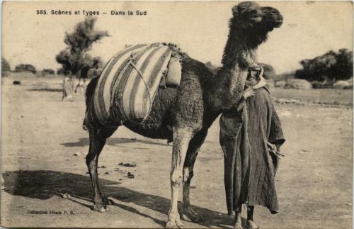 Dans le Sud