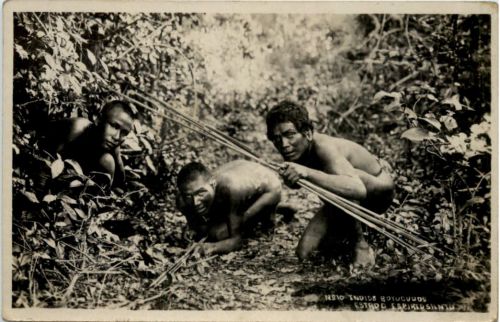 Brazil - Indios Botucuuos