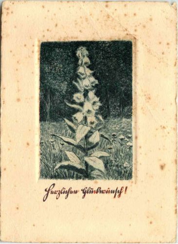 - Herzlichen Glückwunsch - Radierung