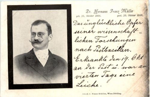 Dr. Hermann Franz Müller - Forschung Pest