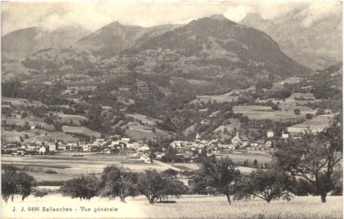 Sallanches, Vue Generale