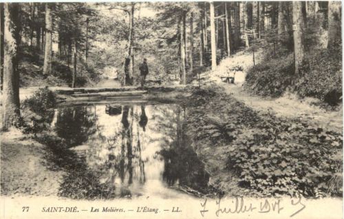 Saint-Die Vosges, Les Molieres