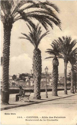 Cannes, Allee des Palmiers
