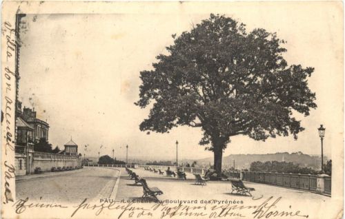 Pau, Le Chene du Boulevard des Pyrenees