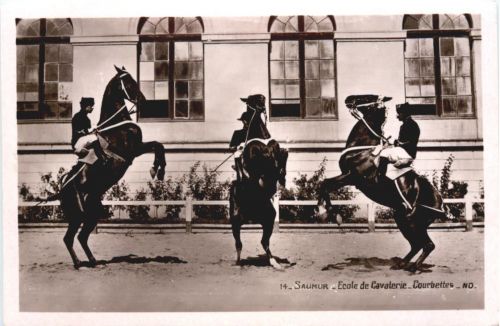 Saumur, Ecole de Cavalerie - Courbettes