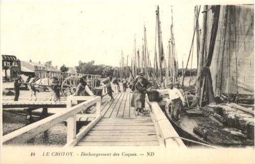 Le Crotoy, Dechargement des Coques