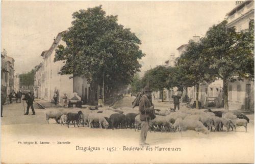 Draguignan - Boulevard des Marronniers