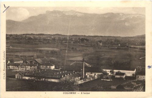 Colombe