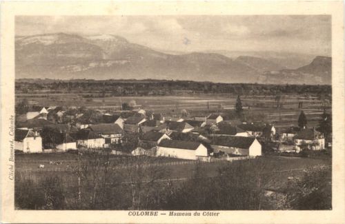 Colombe