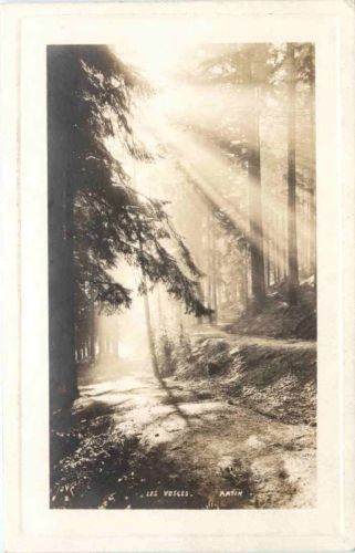 Les Vosges, St. Die