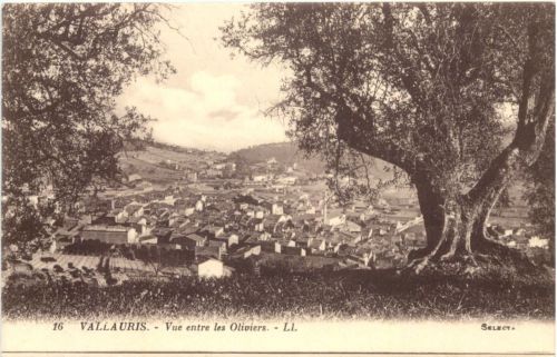 Vallauris