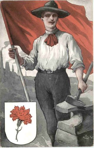 Rote Nelke