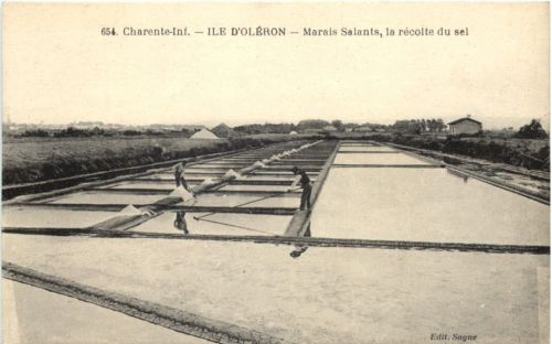 Ile d Oleron - Marais Salants