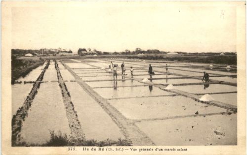 Ile de Re - Marais salant