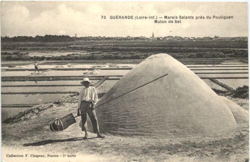 Guerande - Marais Salants