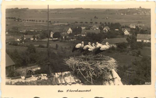 Burgau Schwaben - Das Storchennest