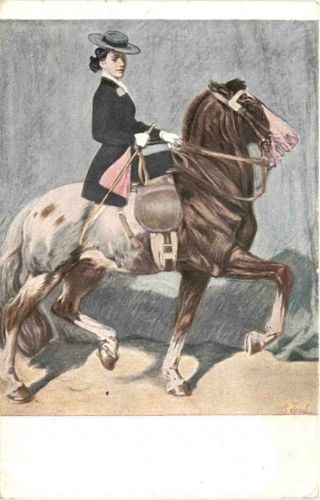 Pferd - Im Sattel
