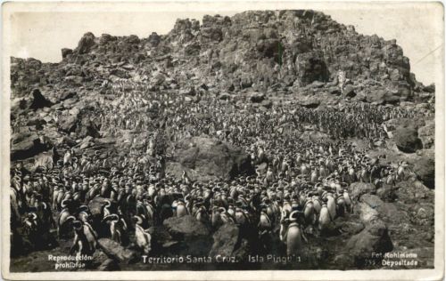 Territorio Santa Cruz . Isla Pinguia
