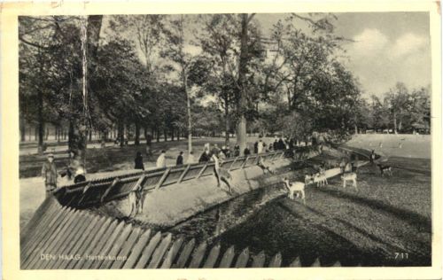 Den Haag - Hertenkamp
