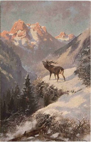Hirsch