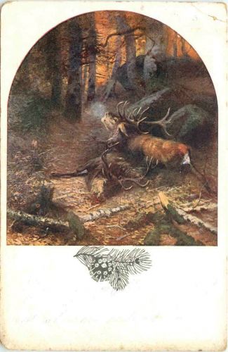 Hirsch