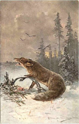Fuchs in Falle