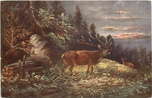 Hirsch