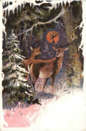 Hirsch