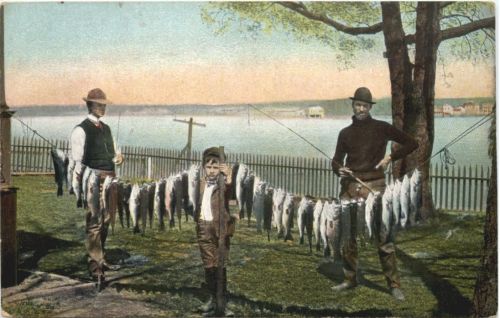 Fishing - Angeln