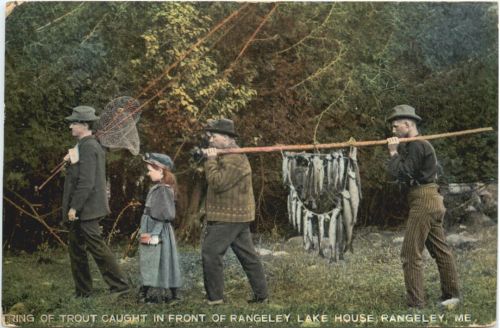 Fishing Trout Rangeley