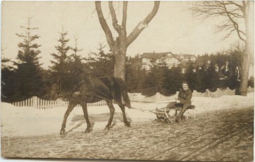 Oberhof - Pferd mit Schlitten