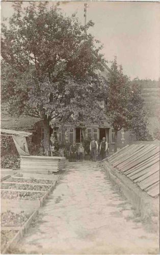 Landwirtschaft
