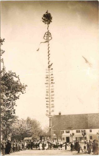 Maibaum