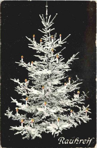 Limbach Sachsen - Weihnachten - Rauhreif