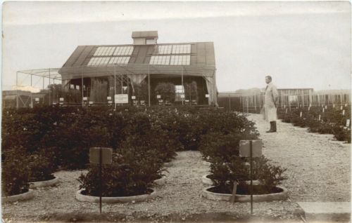 Phosphorsäure Versuche